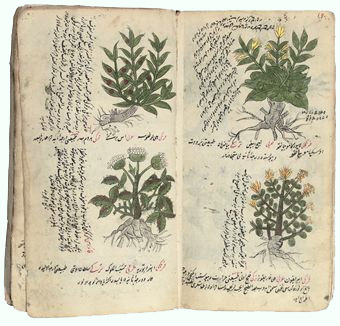 Wikiwel herbal.jpg