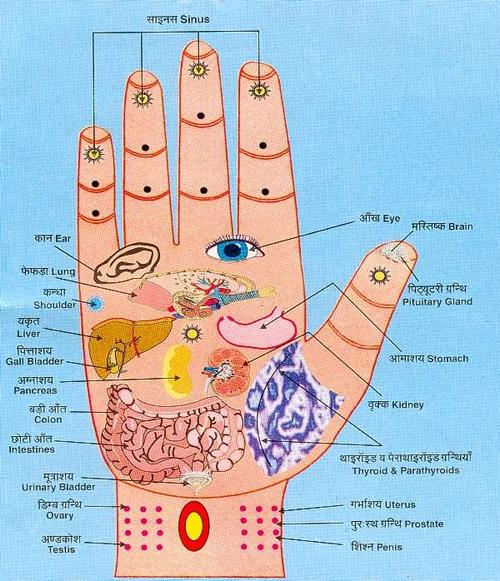 Hand acupressure points.jpg
