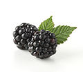 Black-raspberry.jpg