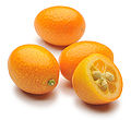Kumquat.jpg