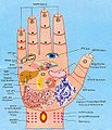 Hand acupressure points.jpg