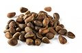 Cedar nuts.jpg